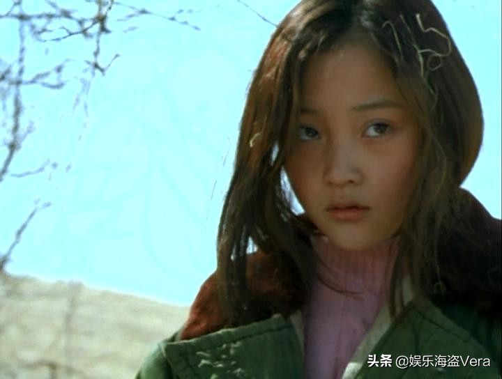 李小璐是一个顾家的人吗,李小璐可怜之人必有可恨之处