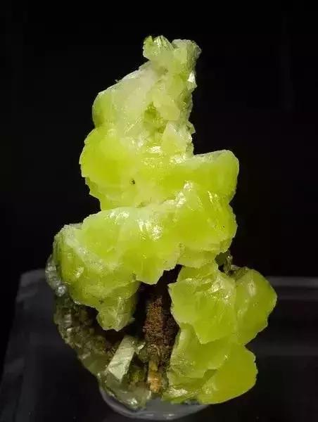 世界上令自己眸生情，见到后再也不爱别人的51个丽人