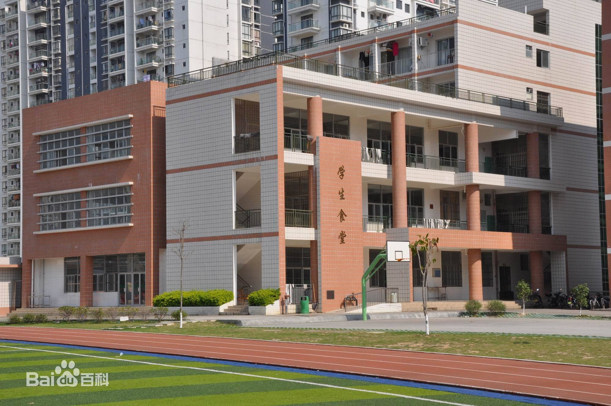 南宁银海三美在哪里,南宁市三美和银海三美区别