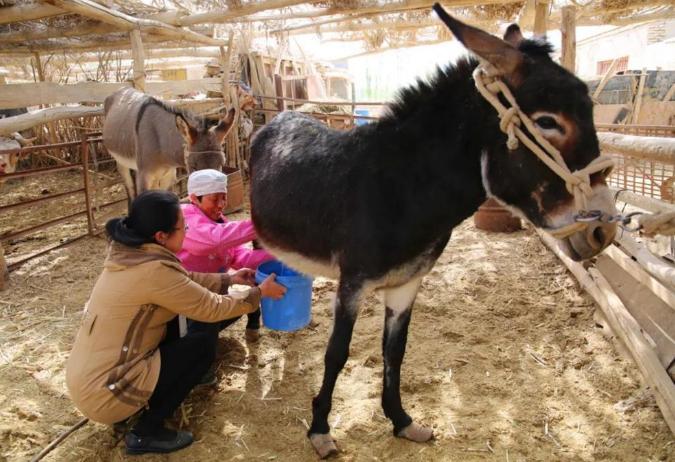 母乳牛奶羊奶营养价值对比表,羊奶和牛奶哪个营养更全面