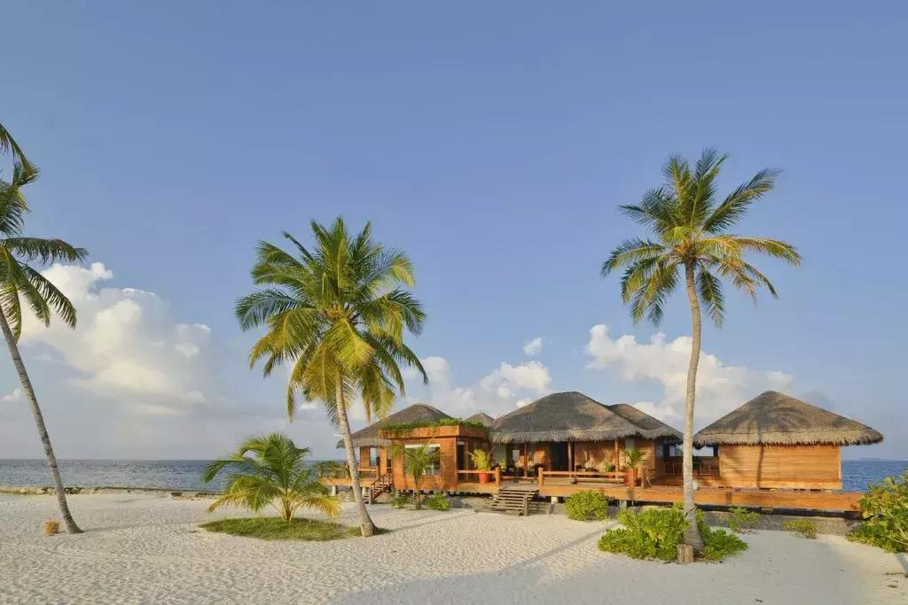 马尔代夫浮潜珊瑚最好的岛,马尔代夫魔富士岛浮潜攻略