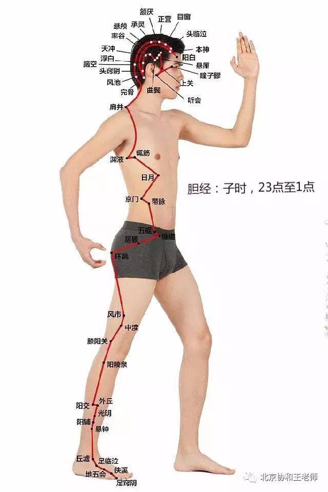 湿热体质祛湿热最快的好方法,湿从何来如何祛湿