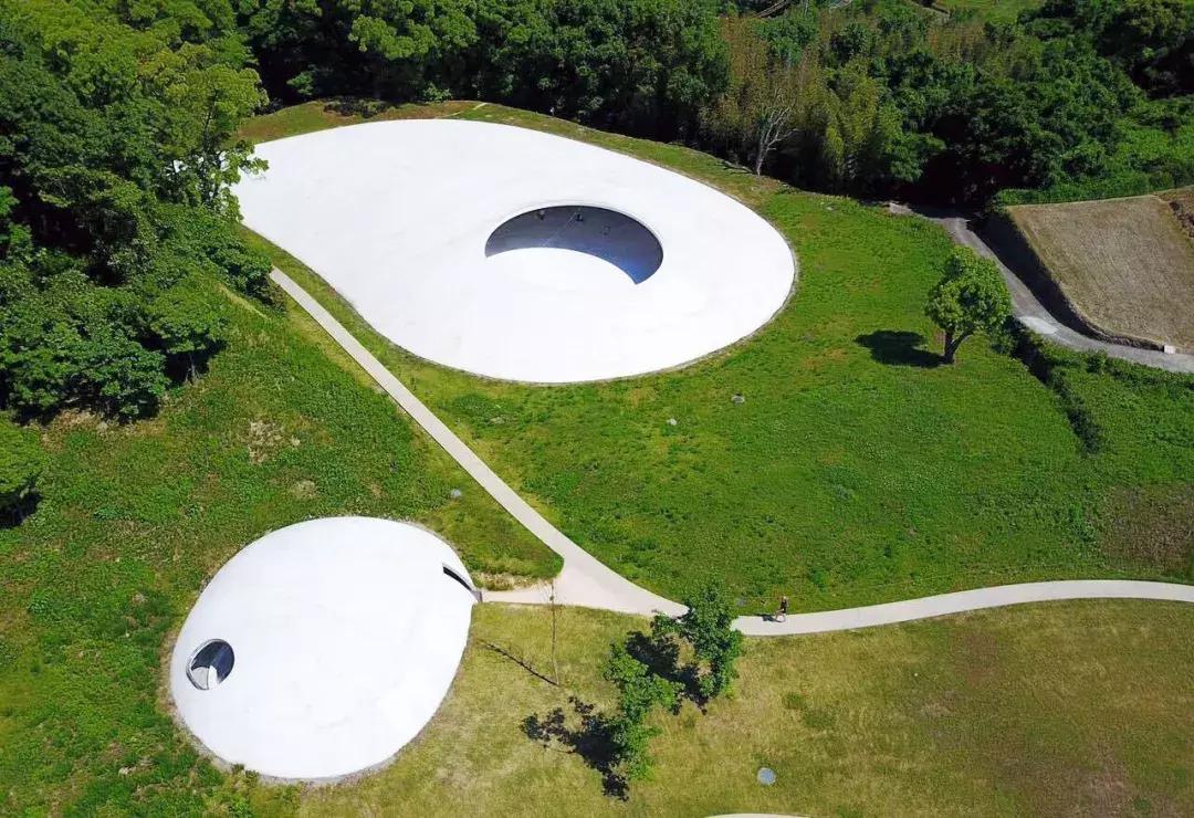 当景观遇上设计,当景观植物遇见灯光