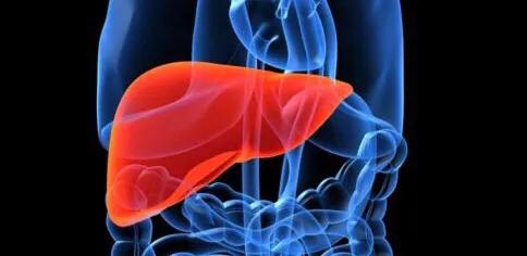 丙肝可以治愈乙肝研究最新进展,丙肝可以治愈为什么乙肝还不行