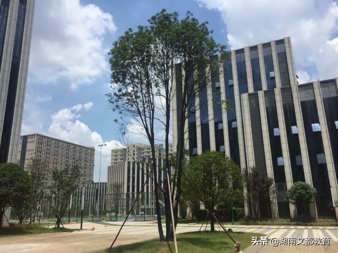 文都集训营长沙,湖南文都考研班收费