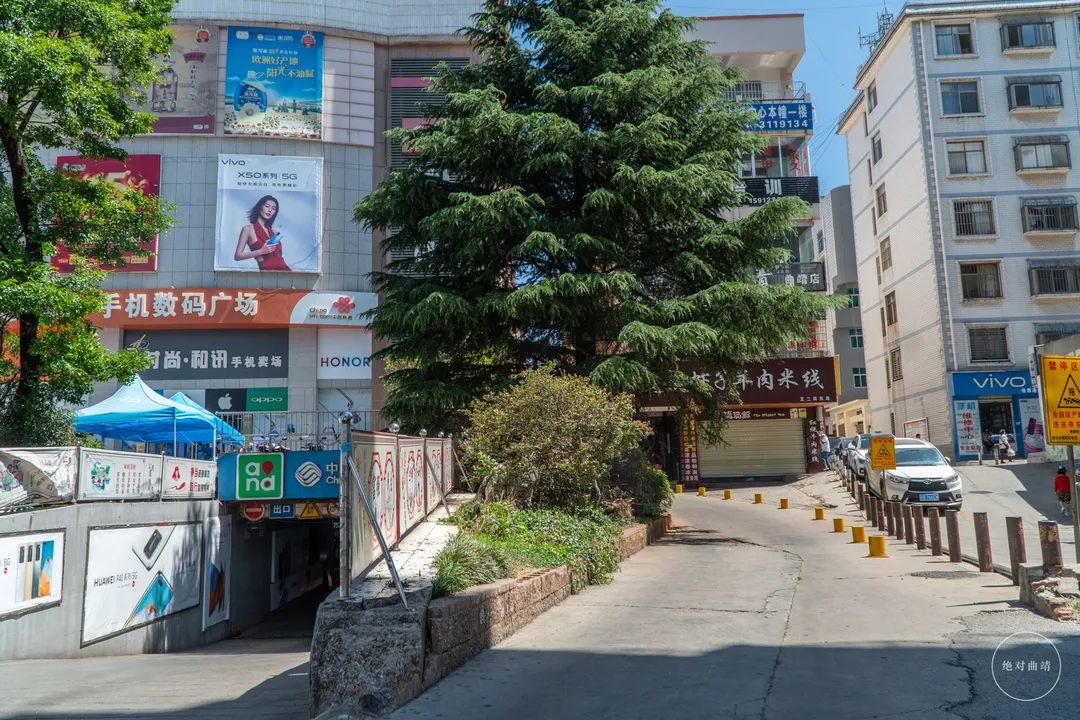 善食斋素食自助曲靖,曲靖市麒麟区素食自助餐厅