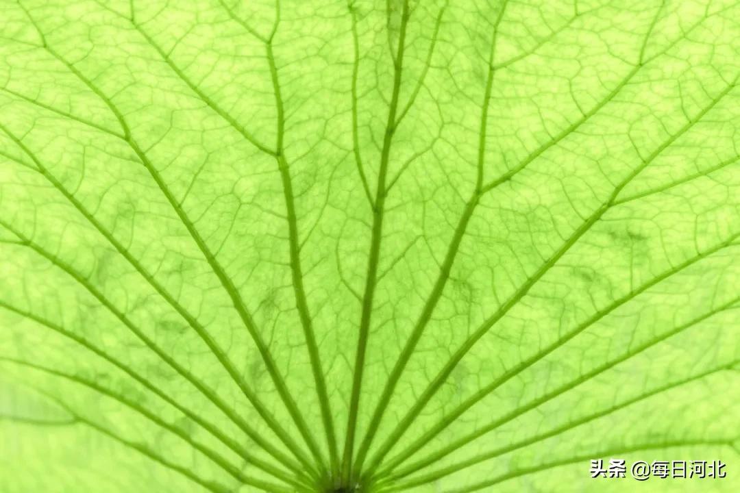 一个温暖又有趣的酒店,选择一个舒适温暖的酒店