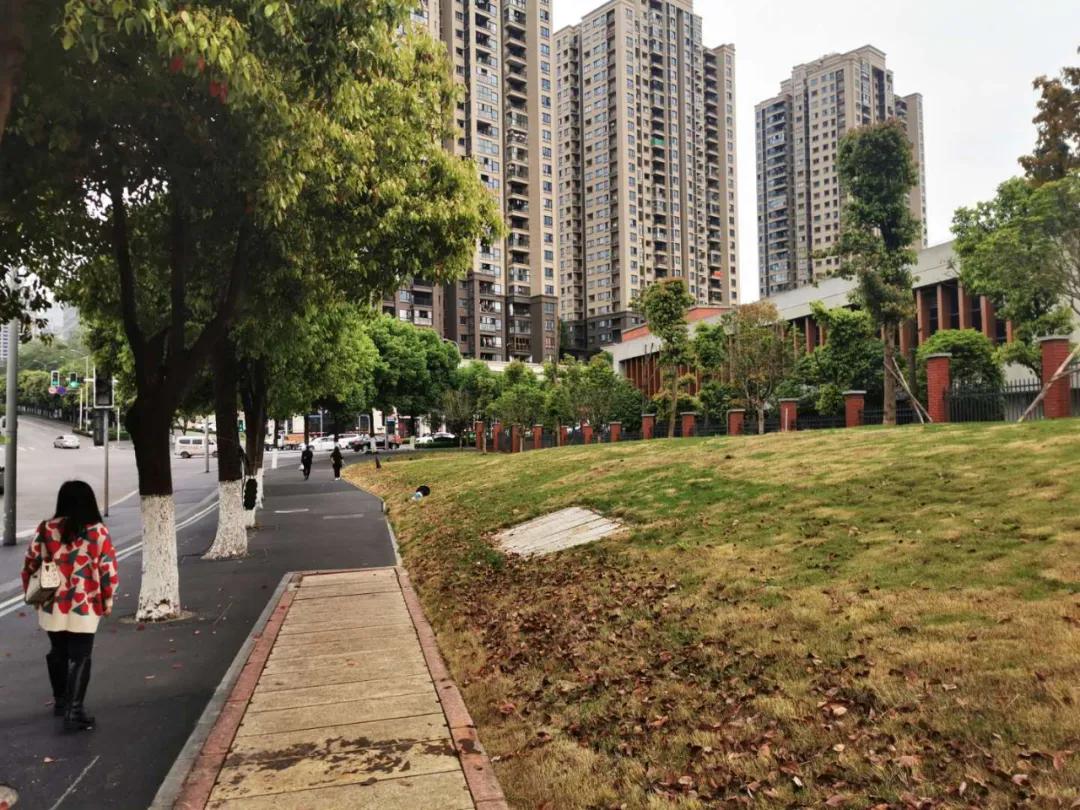 大竹林西大附中环境,西大附中大竹林图片