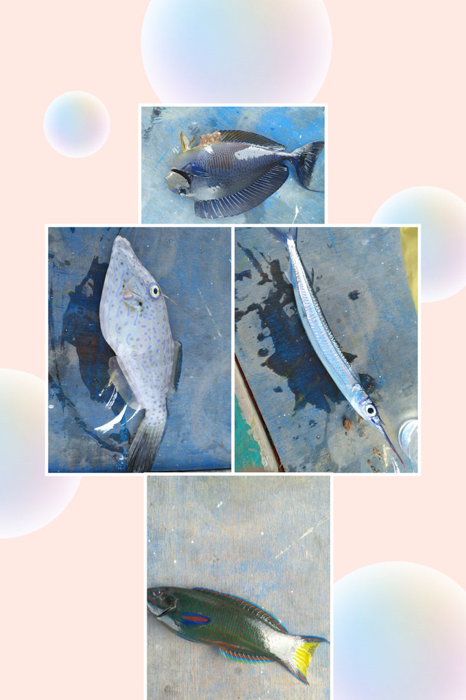 岛民旅游攻略,美娜多旅游详细攻略