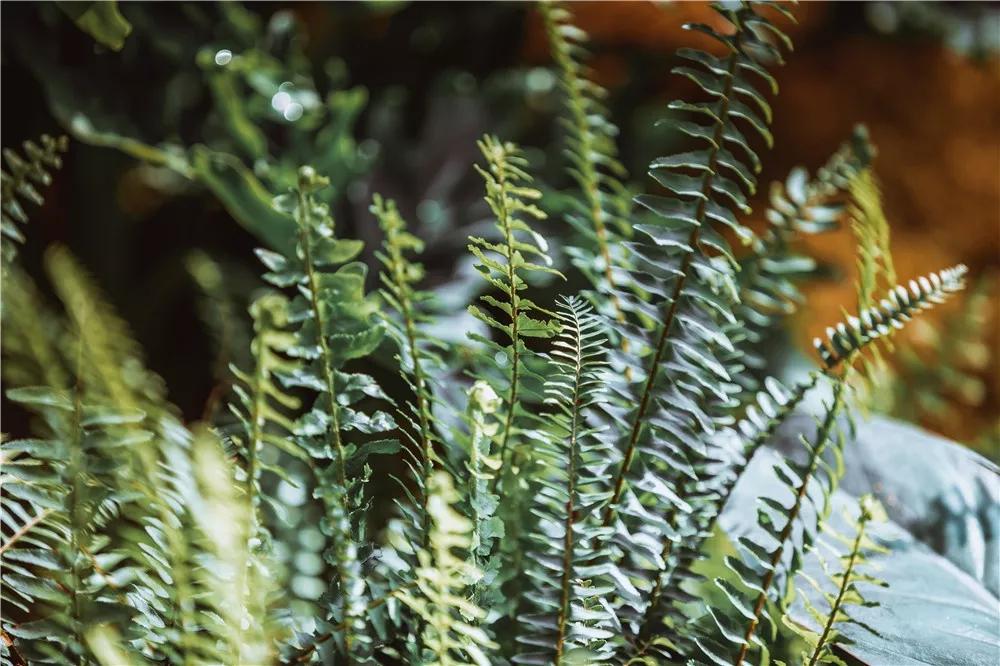 探秘!10000㎡打造世界烘焙商业新物种!!!(系列一)