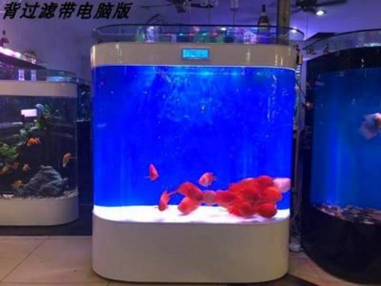 鱼缸换水后出现很多小白虫,怎么去除?