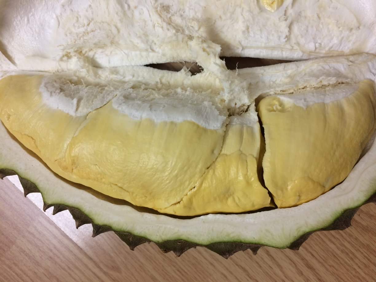 榴莲品种d13,泰国榴莲d197是什么品种