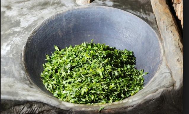 茶叶怎样杀青才会汤色碧绿,绿茶茶叶杀青十大手法