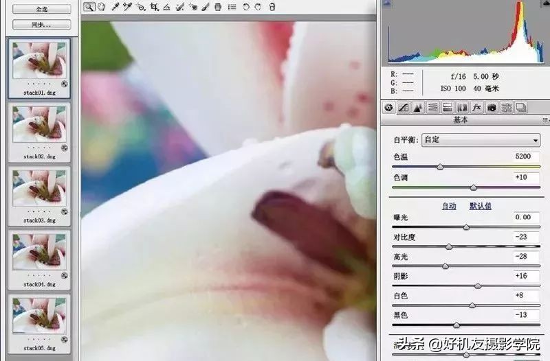 景深后期怎么合成照片,如何拍出前虚后实的景深照片