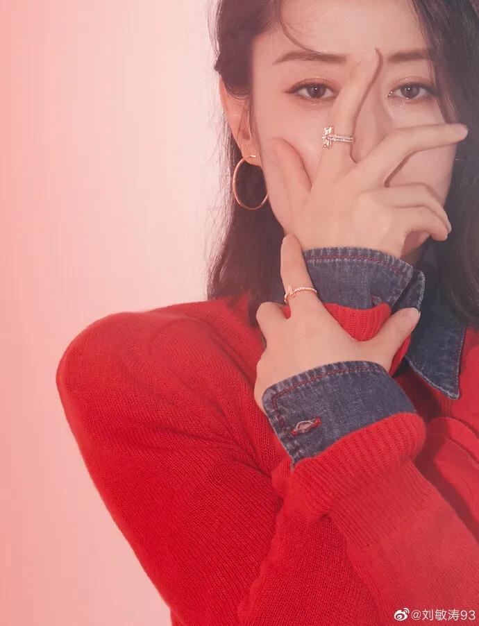 为爱息影的电视剧,为爱息影30年罕见现身