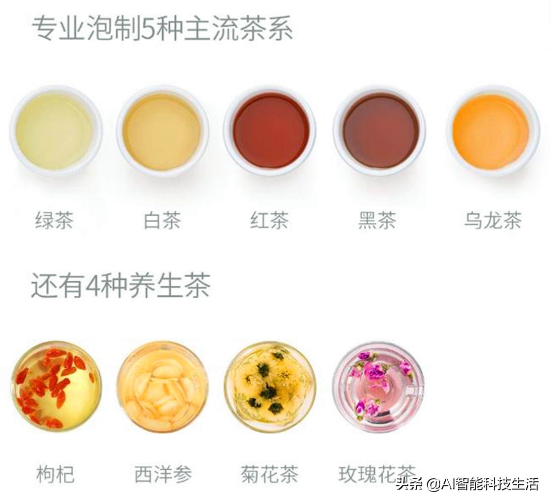 全自动保温多功能蒸汽煮茶器评测,泡茶机好用不贵泡茶不再烦恼