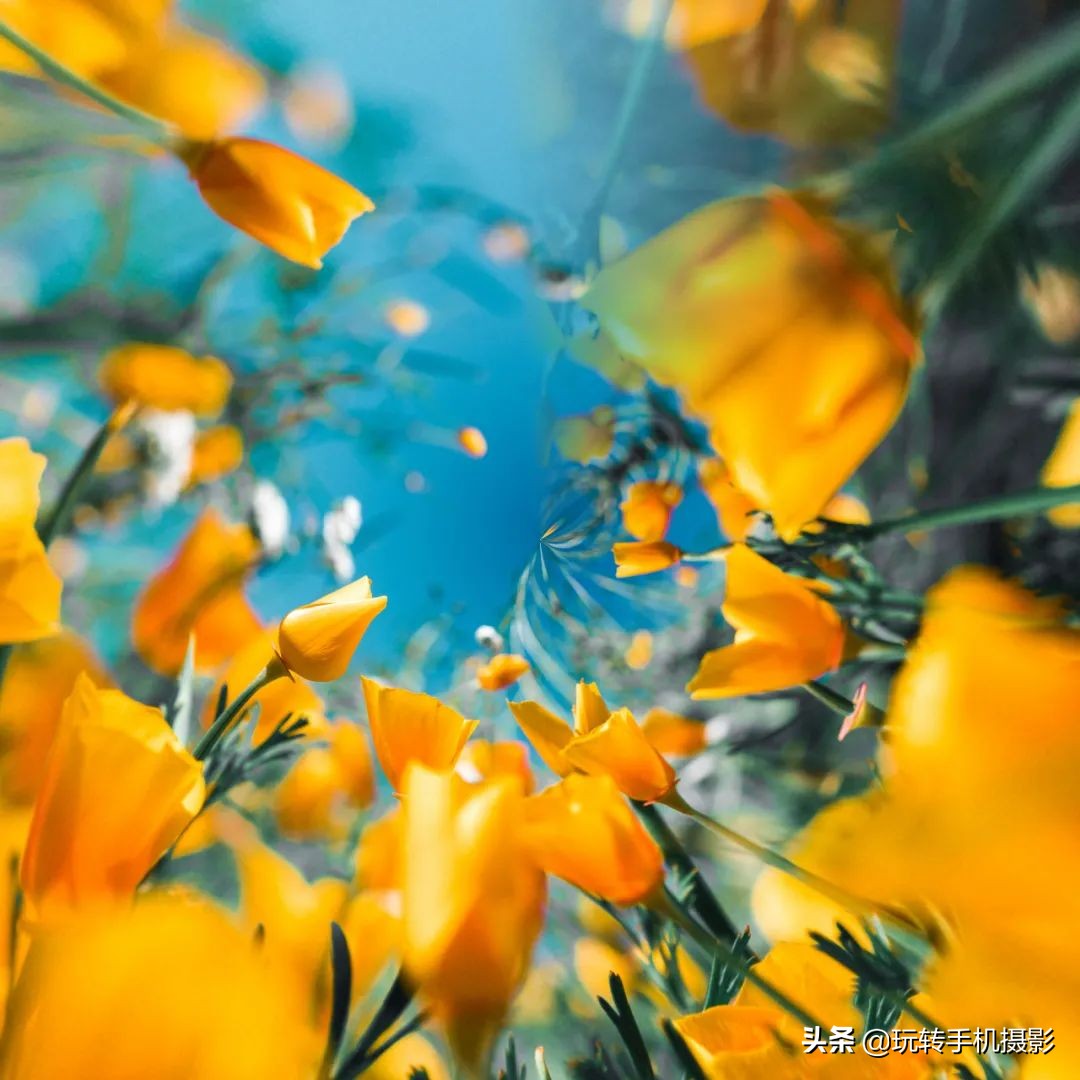 手机版一键合成,一键合成全景