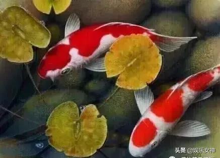 今天4月26，百年难遇的好运日,愿你一生好运不断