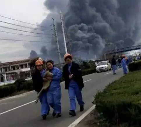 响水之殇：物伤其类，秋鸣也悲！