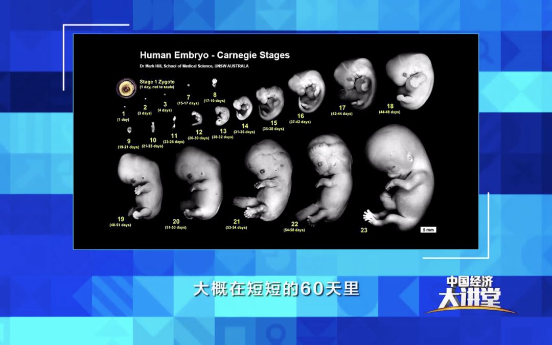 干细胞有哪些新突破,干细胞技术到底能为我们做什么