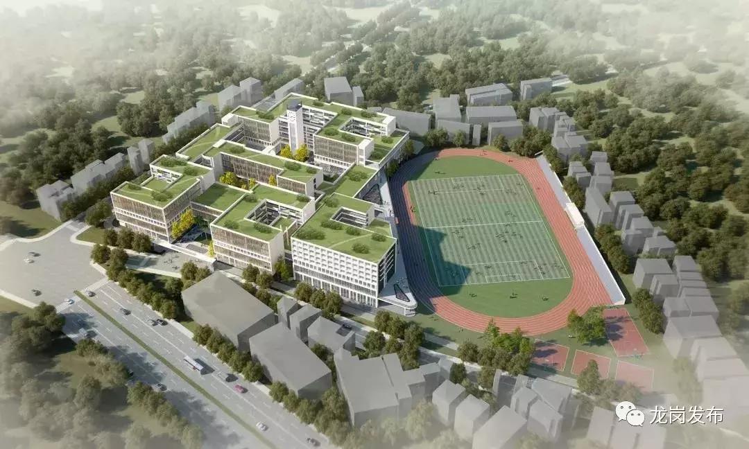 龙岗区各大项目进展,龙岗区更新项目有哪些