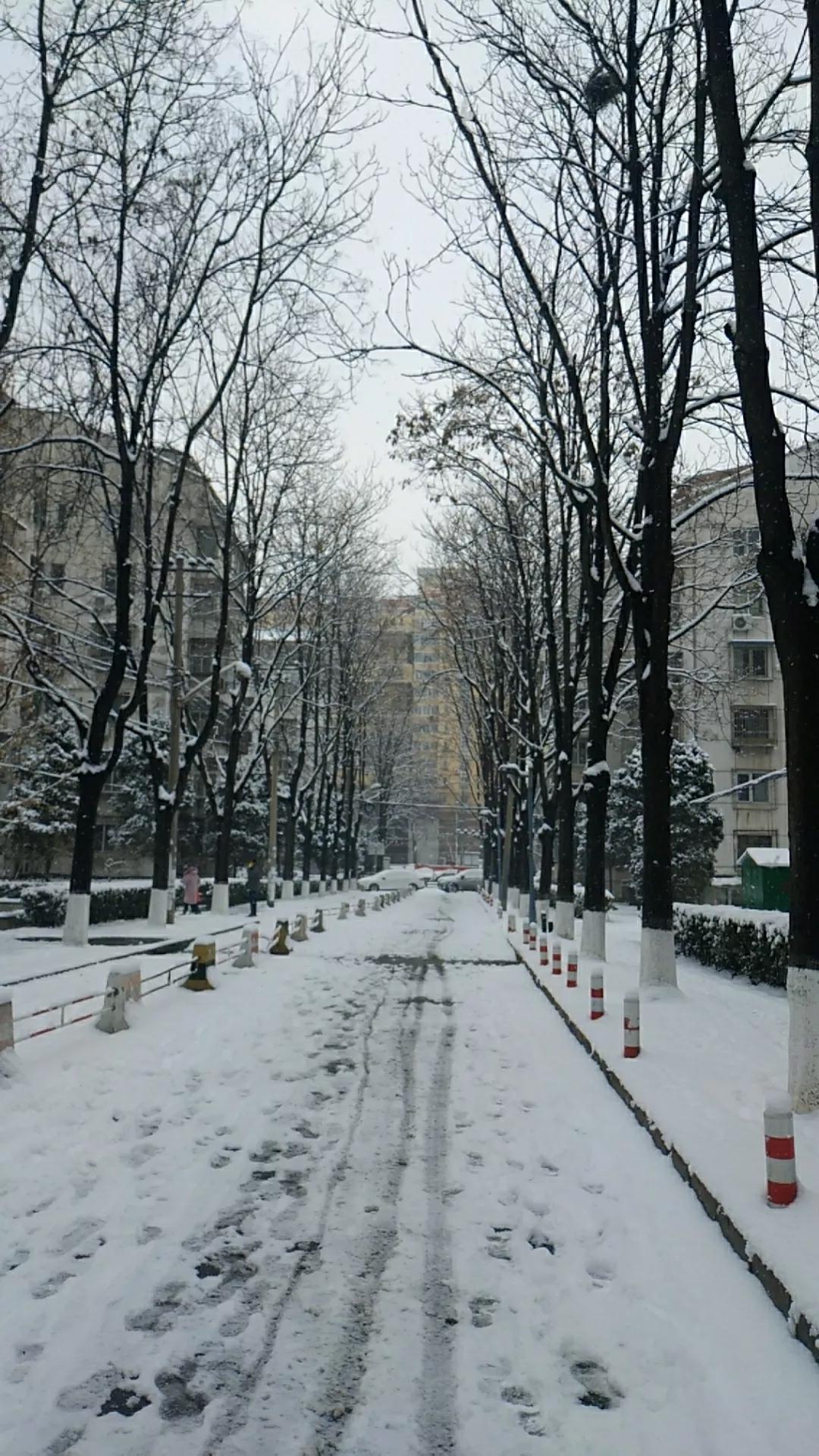 现在支付方式很多你还会用纸币吗,手机支付后纸币都去哪里了