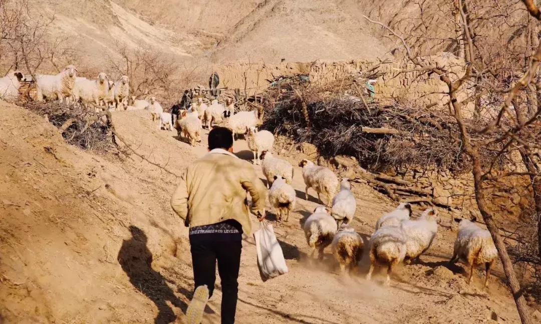 把泳池搬进沙漠，圈黄河做庭院，一个男人的西部世界，可以有多野