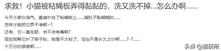 猫咪手脏怎么清洗,如何洗猫咪粘毛的物品