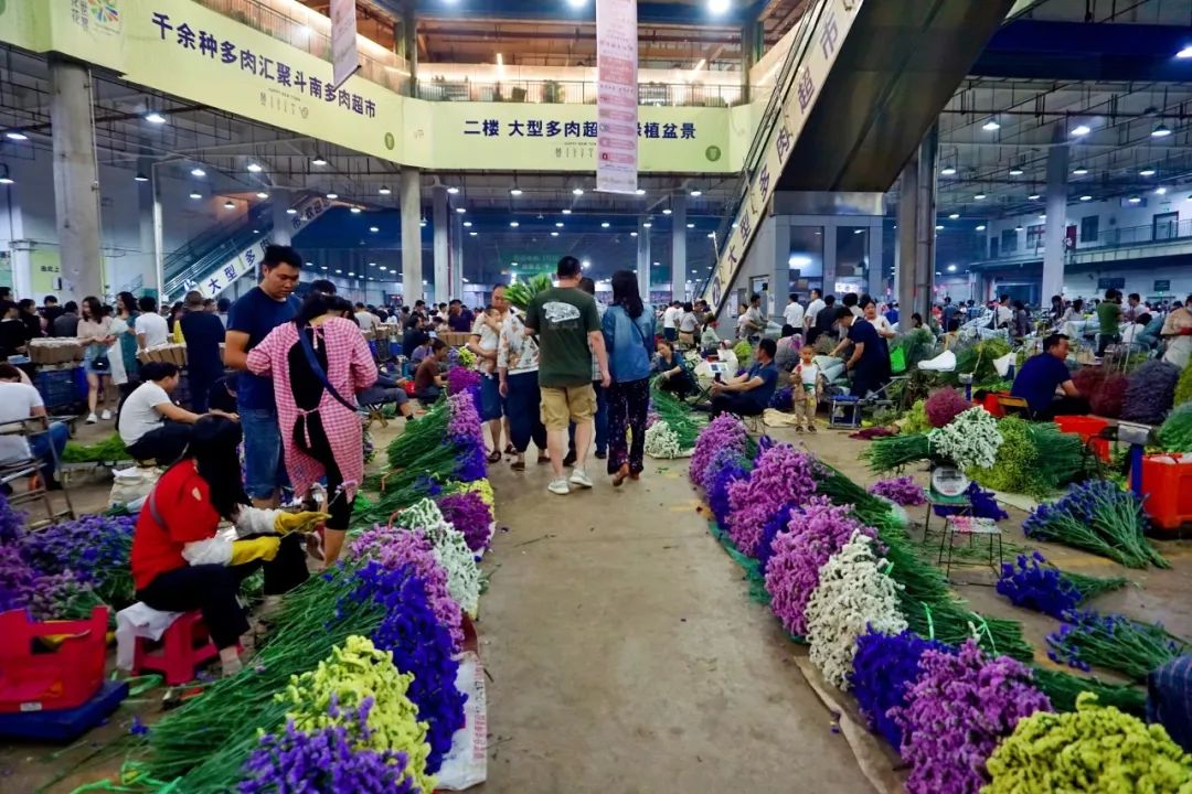 哪里鲜花最多最便宜,苏州市最大鲜花批发市场