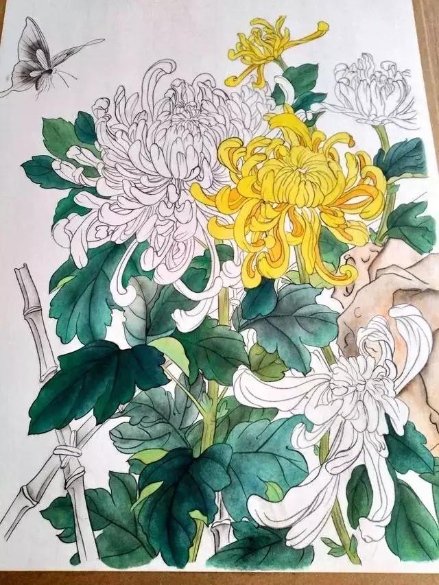 国画菊花教程工笔,工笔国画教程菊花蓝蝶