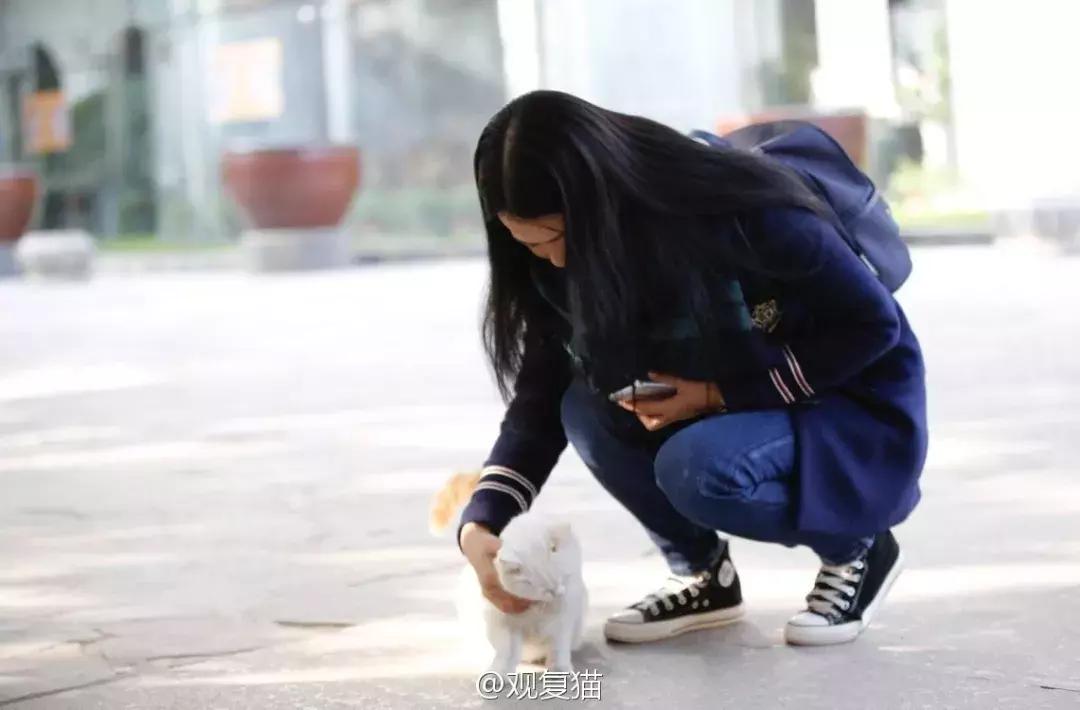 马未都给皇家带什么,马未都讲鸳鸯是什么