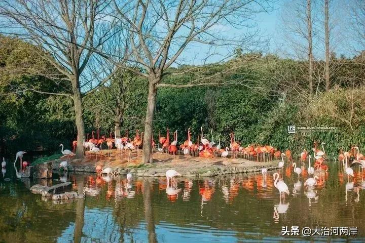 厉害了我的新东方,厉害了我的浦东