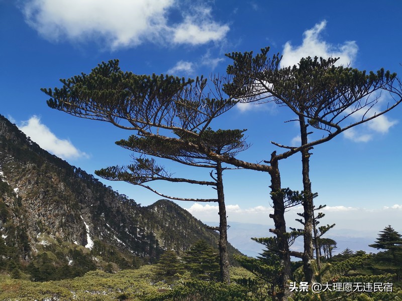 苍山一日游旅游攻略,苍山一日游自驾游