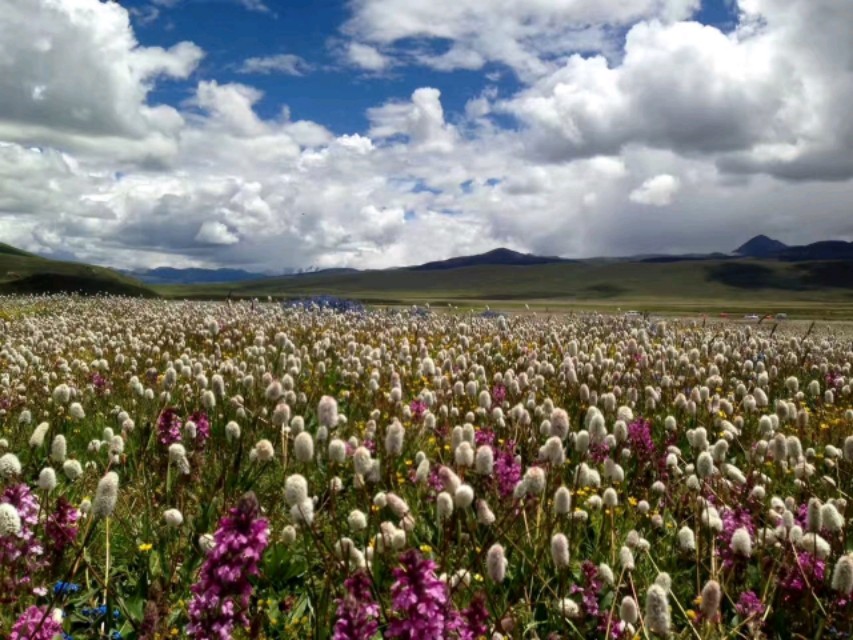 成都到林芝沿途山峰,从成都到林芝走318线路况如何