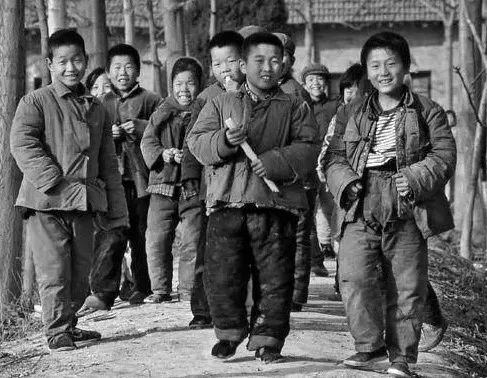 遭遇葫芦包蜂(小小说)