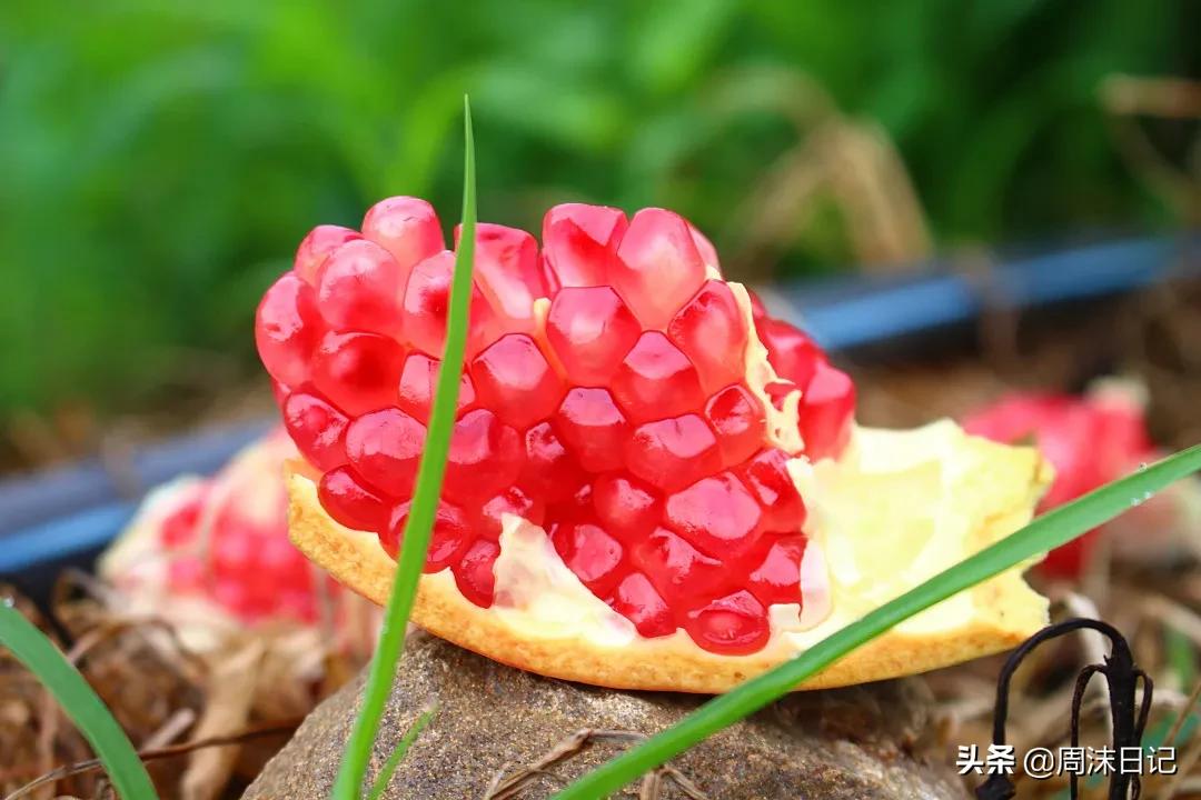 云南突尼斯软籽石榴爆汁不吐籽,甘甜爆汁突尼斯软籽石榴