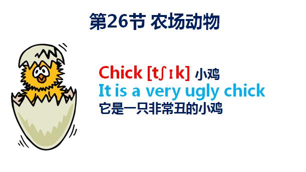 小学生入门学英语单词1000个,初学者如何快速学会英语单词