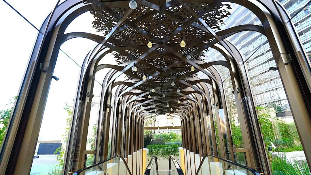 香港最大商场购物实拍视频,香港顶级商场视频