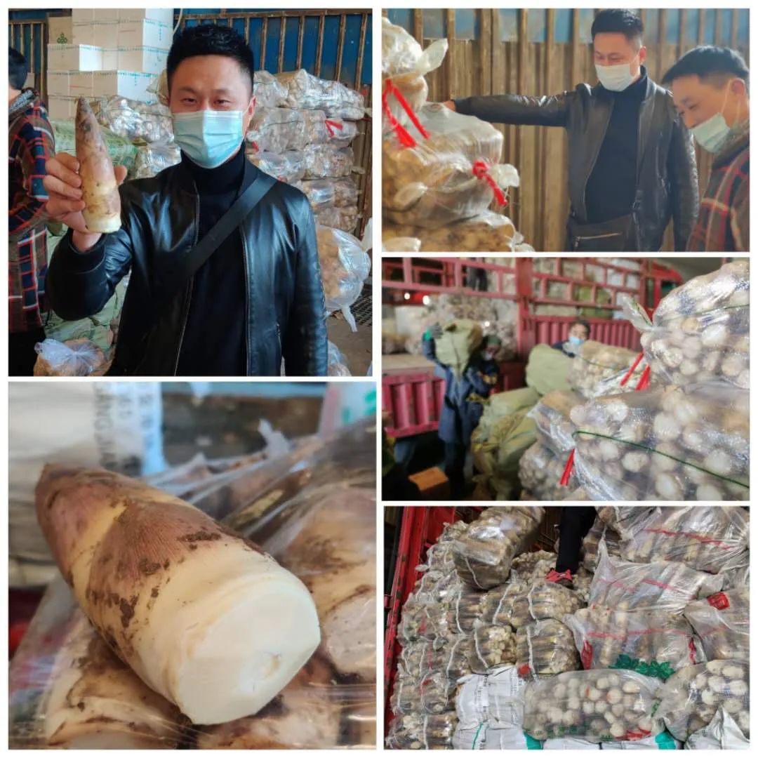 江桥市场菜价,上海蔬菜批发市场蒜薹价格