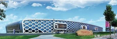 辛集皮革城开发商,河北辛集皮革城店铺怎么样