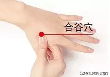 健康管理师需要哪些技巧,健康管理师基础知识100条