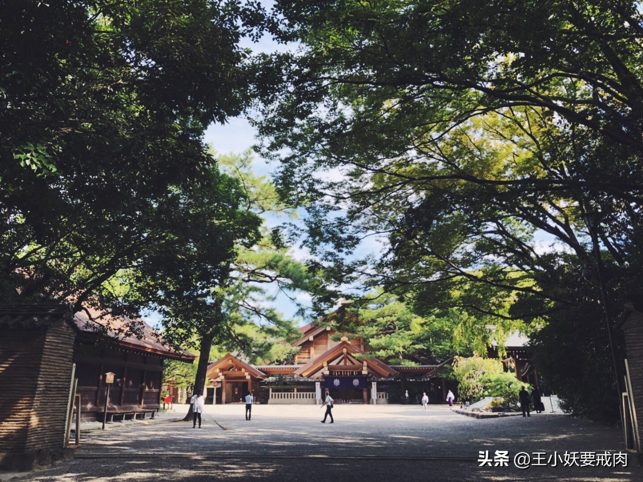 日本自由行攻略7天旅游,日本自由行攻略十大必去景点