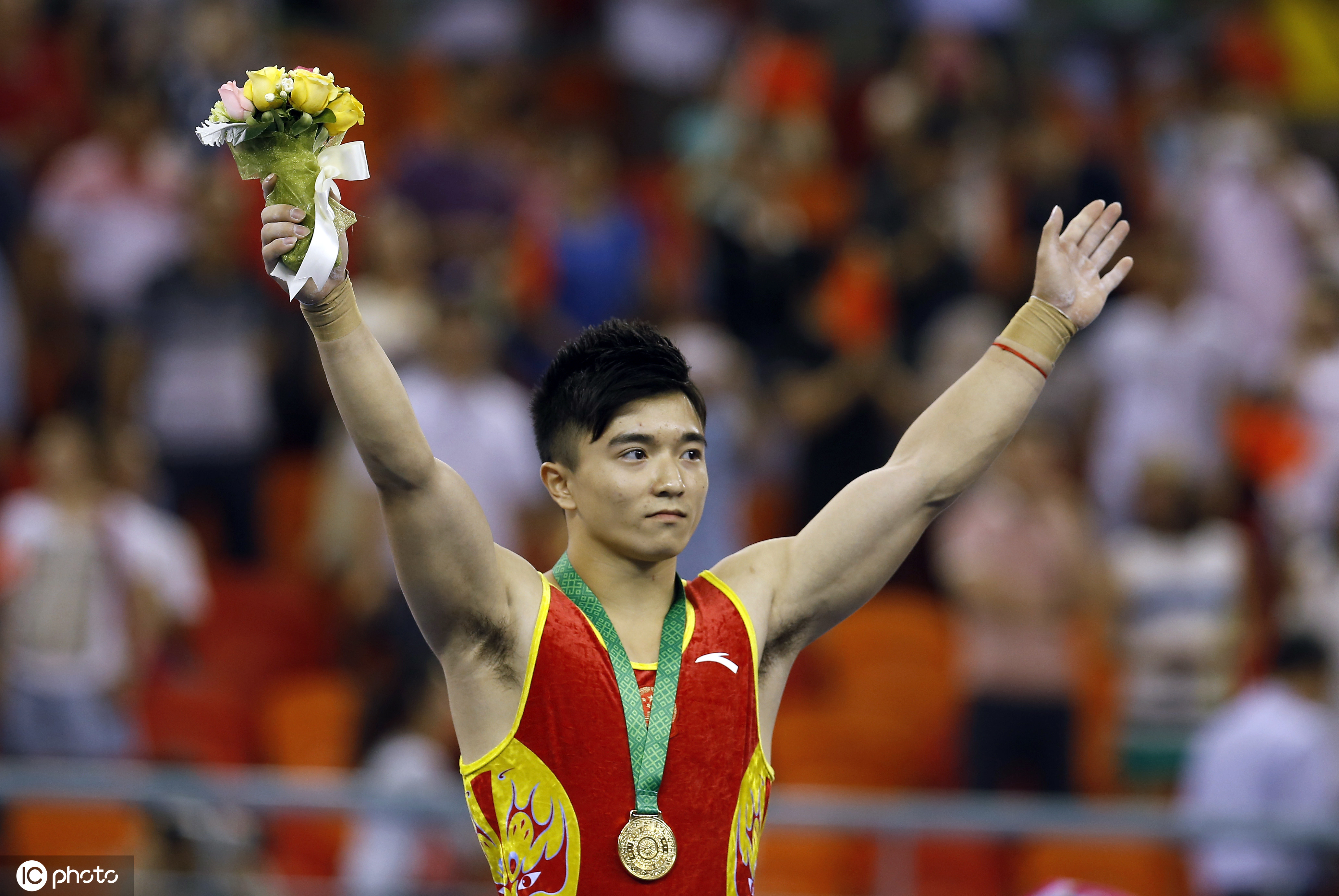 刘洋吊环夺冠,吊环冠军刘洋个人简介