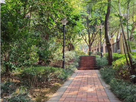 鍝佽川铚曞彉,鍝佽川铦跺彉