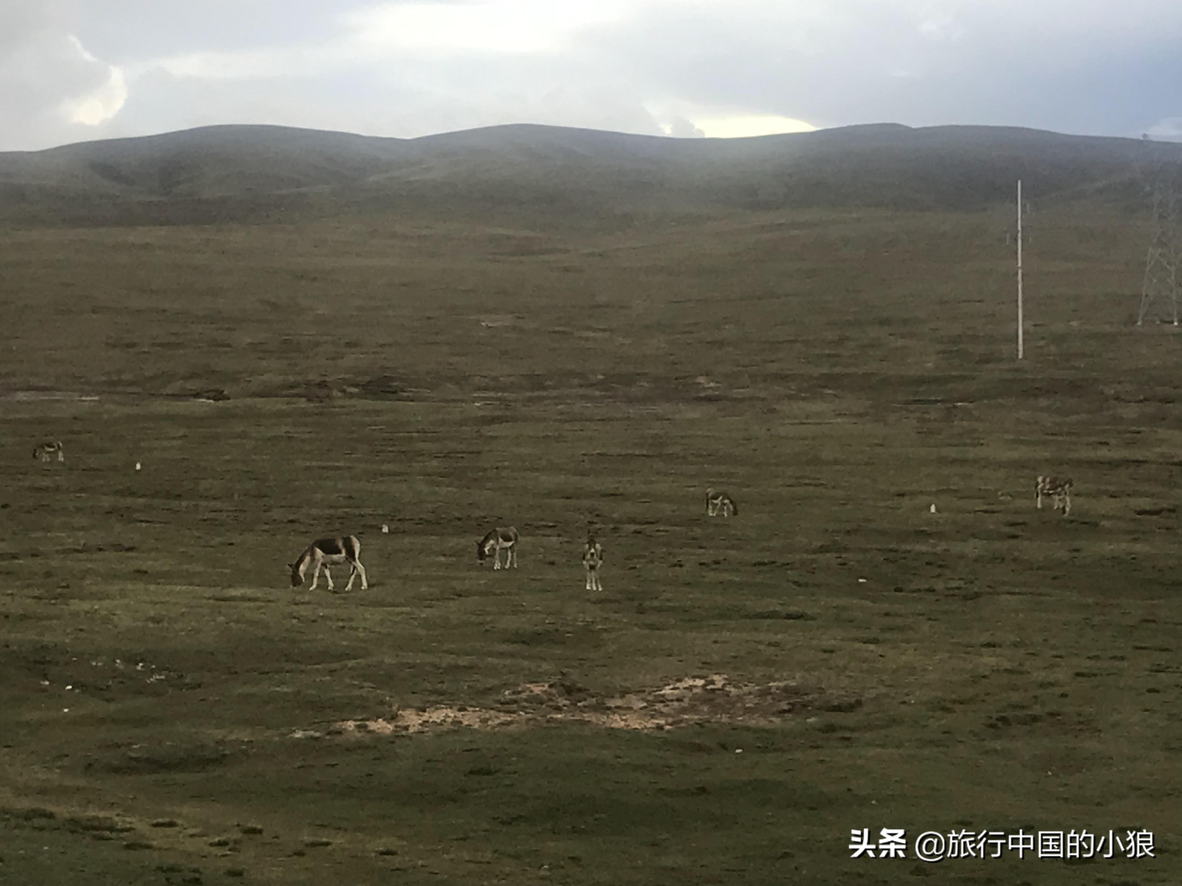 缘在天定份在人为的句子,缘在天定份在人为下句