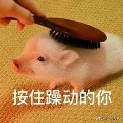 人人都在吹的日本整体卫浴有多坑?今天给你扒一扒