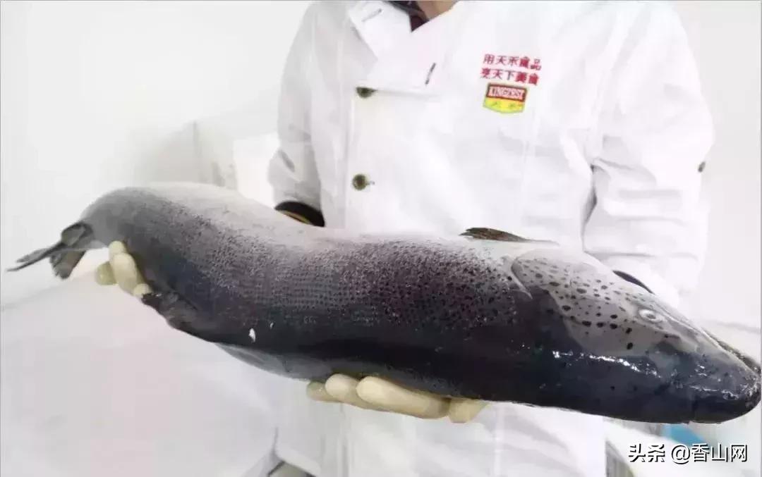 珠海有哪些海鲜街,珠海南屏海鲜街