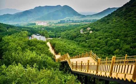 辽宁省朝阳市特色小吃饭店,辽宁各个城市的特色小吃