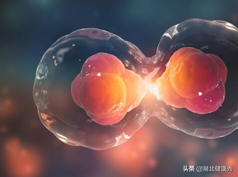 试管婴儿取空卵是什么原因,试管婴儿取的卵多配的少怎么回事