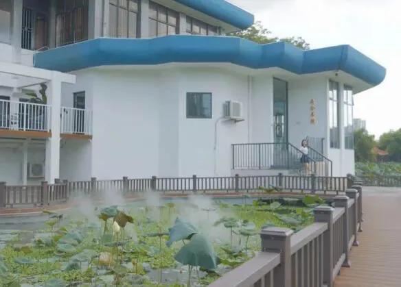 深圳免费公园哪里最好啊,深圳十大免费公园景点大全